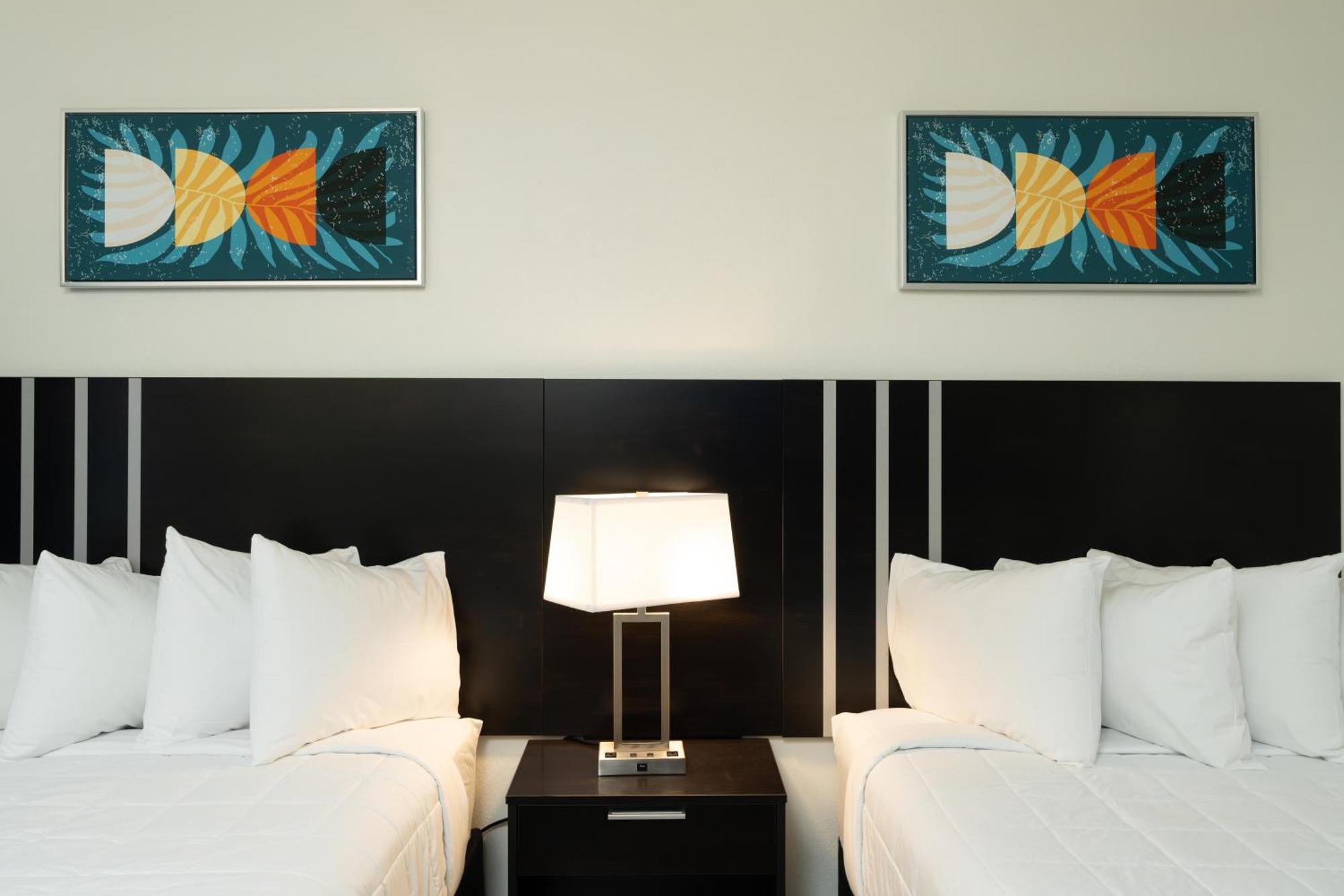Oasis Bay Suites, Tampa, Busch Gardens, Usf Extérieur photo