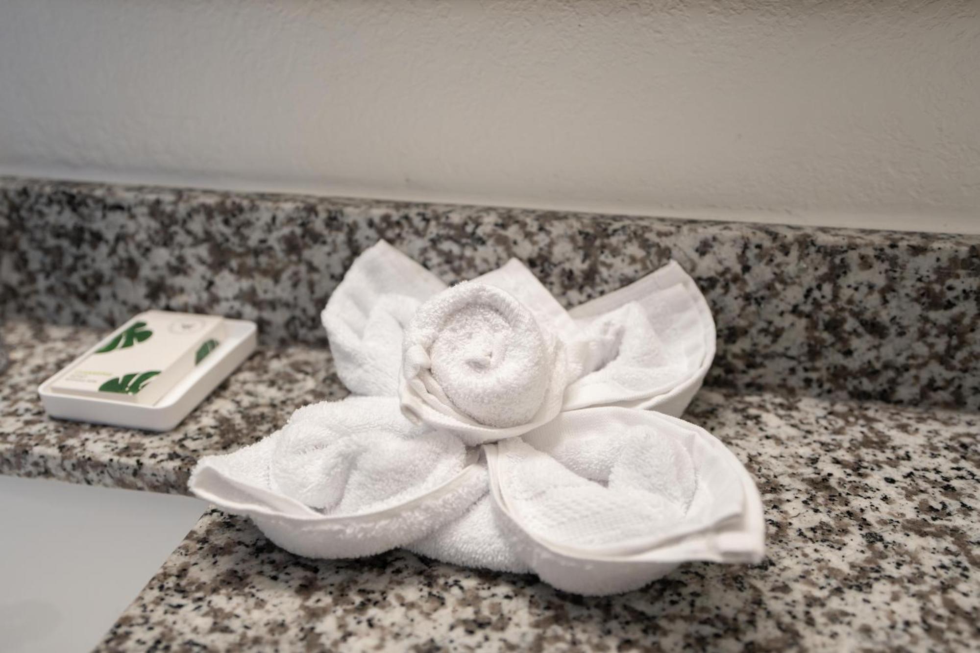 Oasis Bay Suites, Tampa, Busch Gardens, Usf Extérieur photo