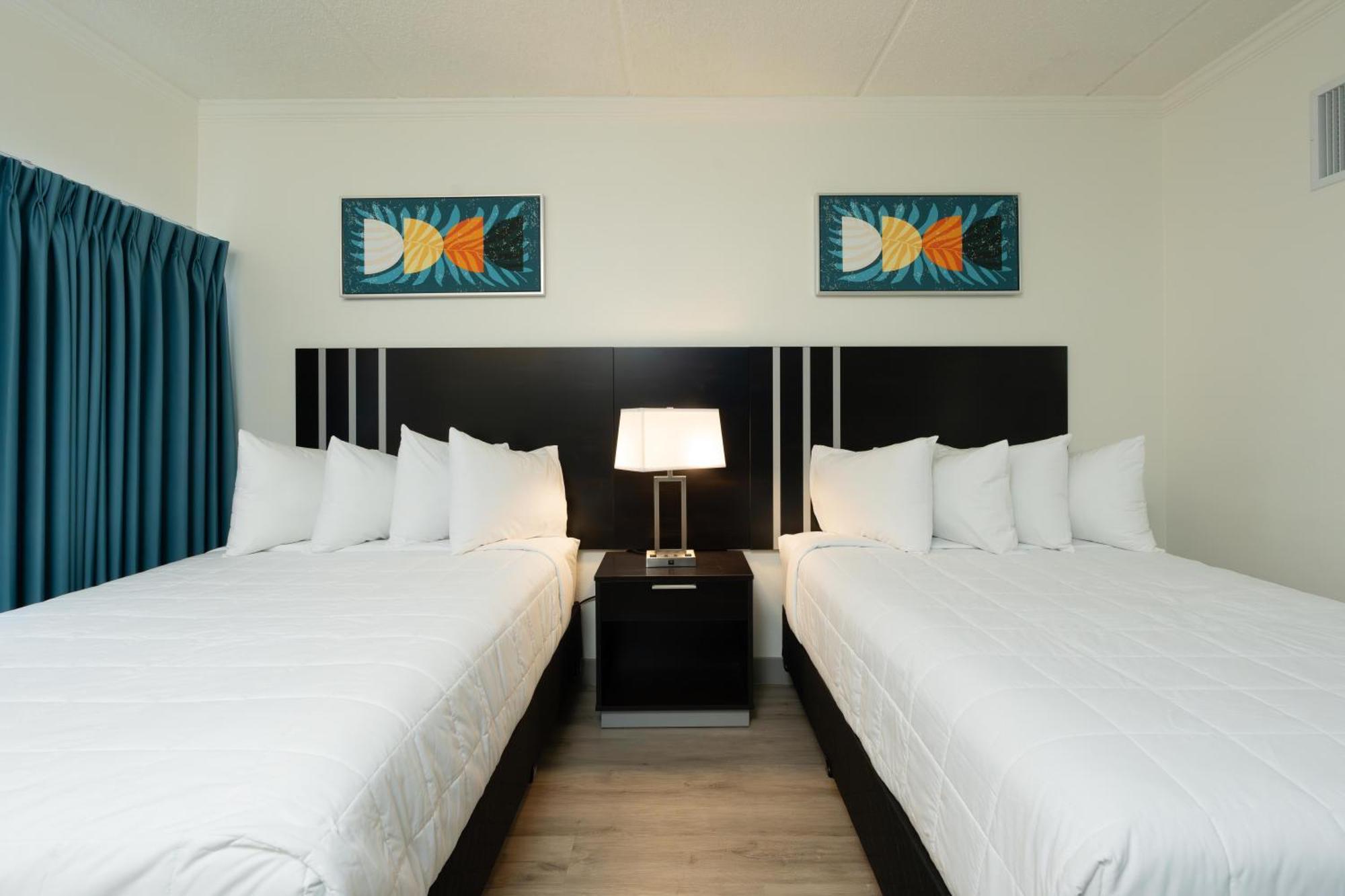 Oasis Bay Suites, Tampa, Busch Gardens, Usf Extérieur photo