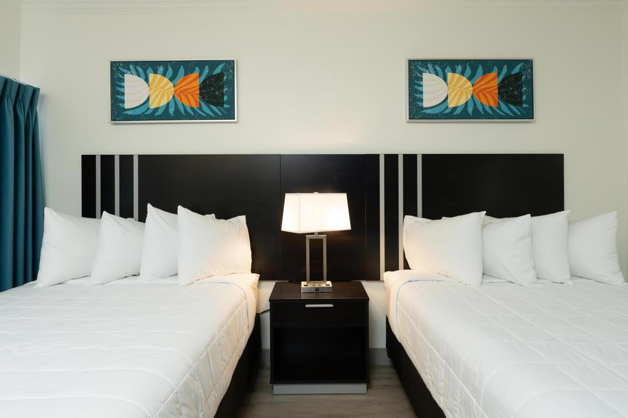 Oasis Bay Suites, Tampa, Busch Gardens, Usf Extérieur photo
