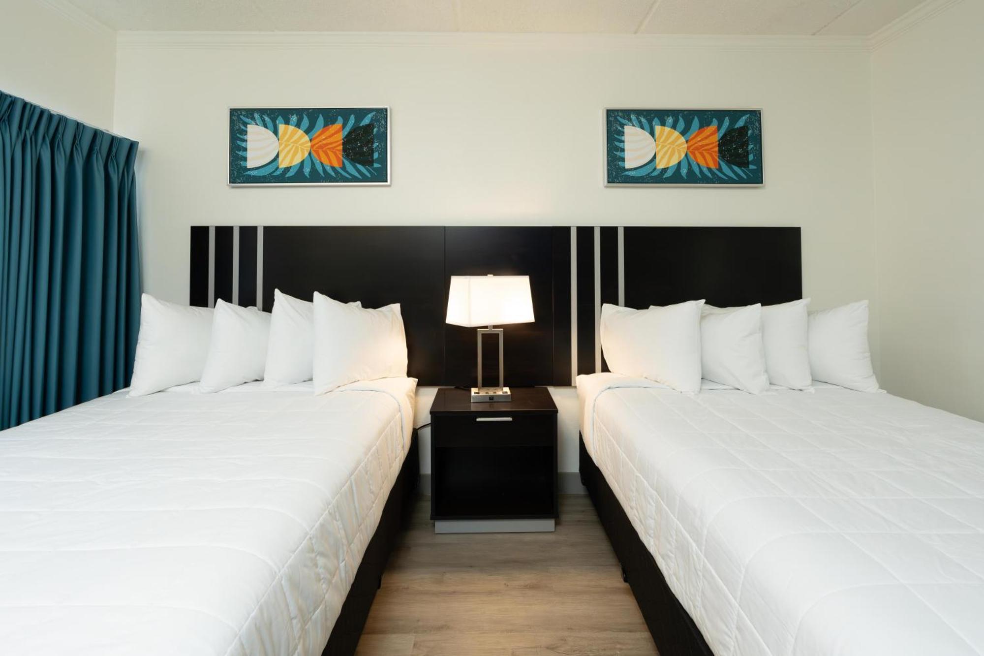 Oasis Bay Suites, Tampa, Busch Gardens, Usf Extérieur photo