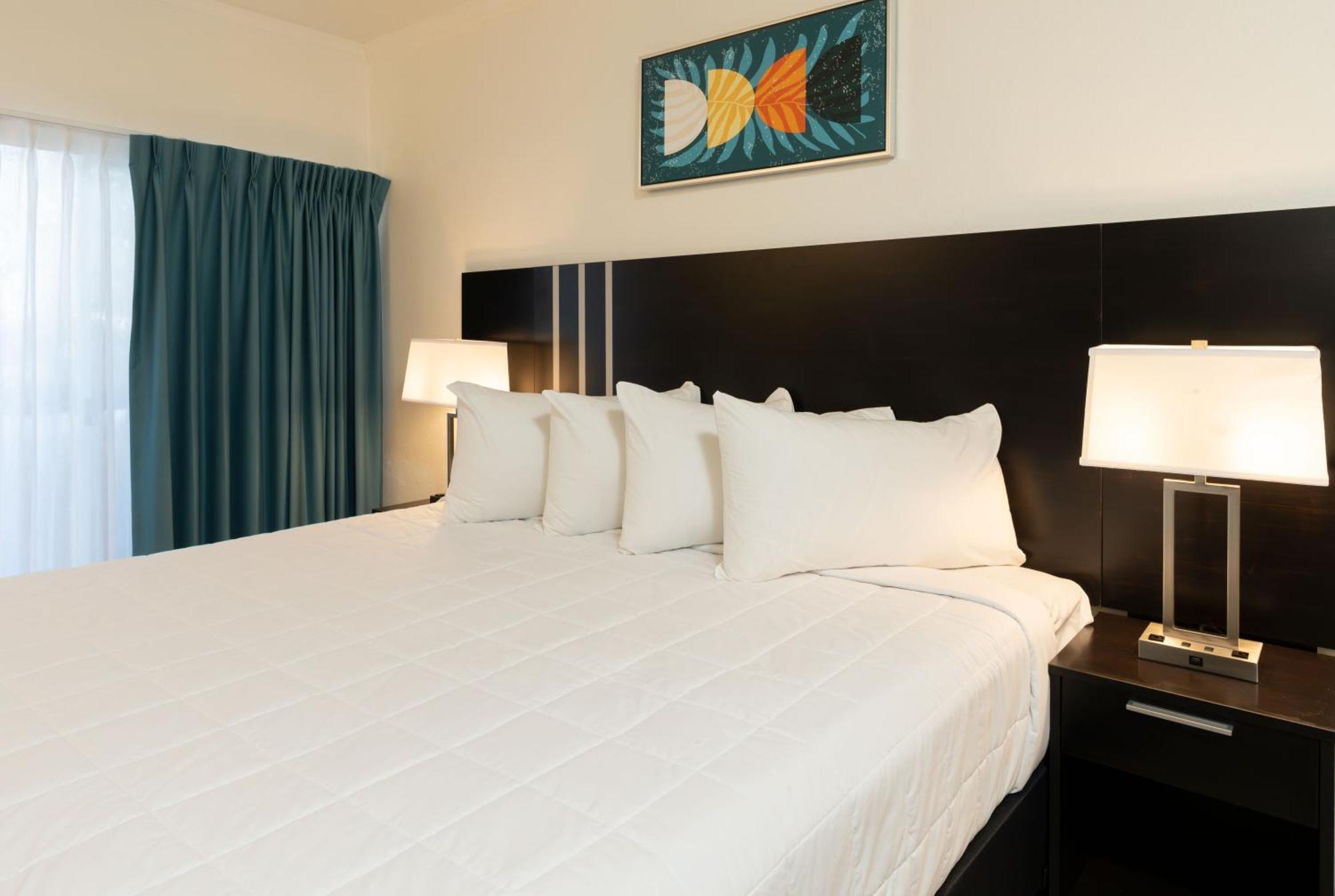 Oasis Bay Suites, Tampa, Busch Gardens, Usf Extérieur photo