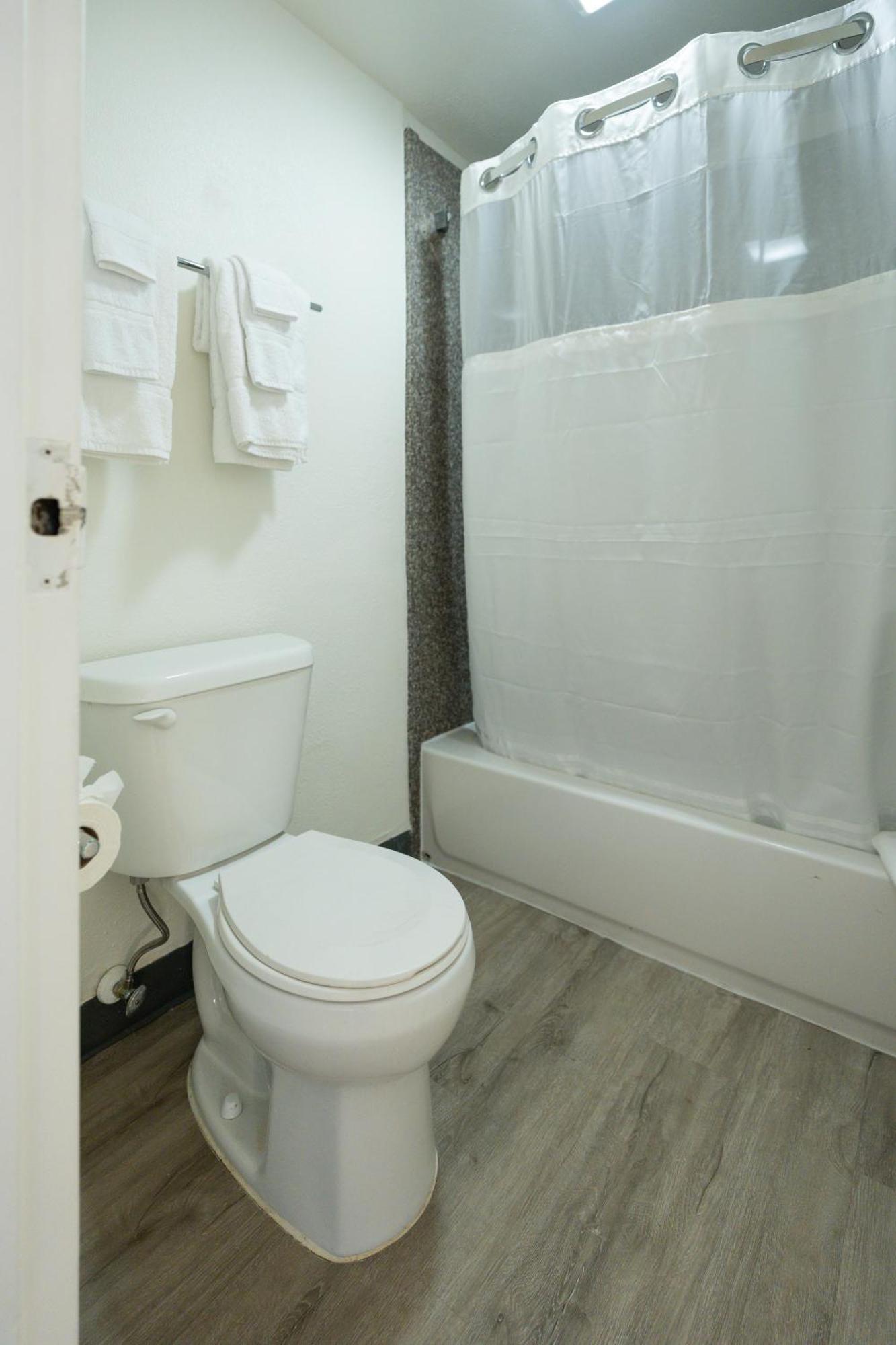 Oasis Bay Suites, Tampa, Busch Gardens, Usf Extérieur photo