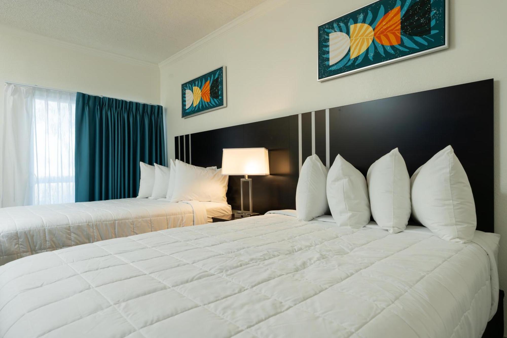 Oasis Bay Suites, Tampa, Busch Gardens, Usf Extérieur photo