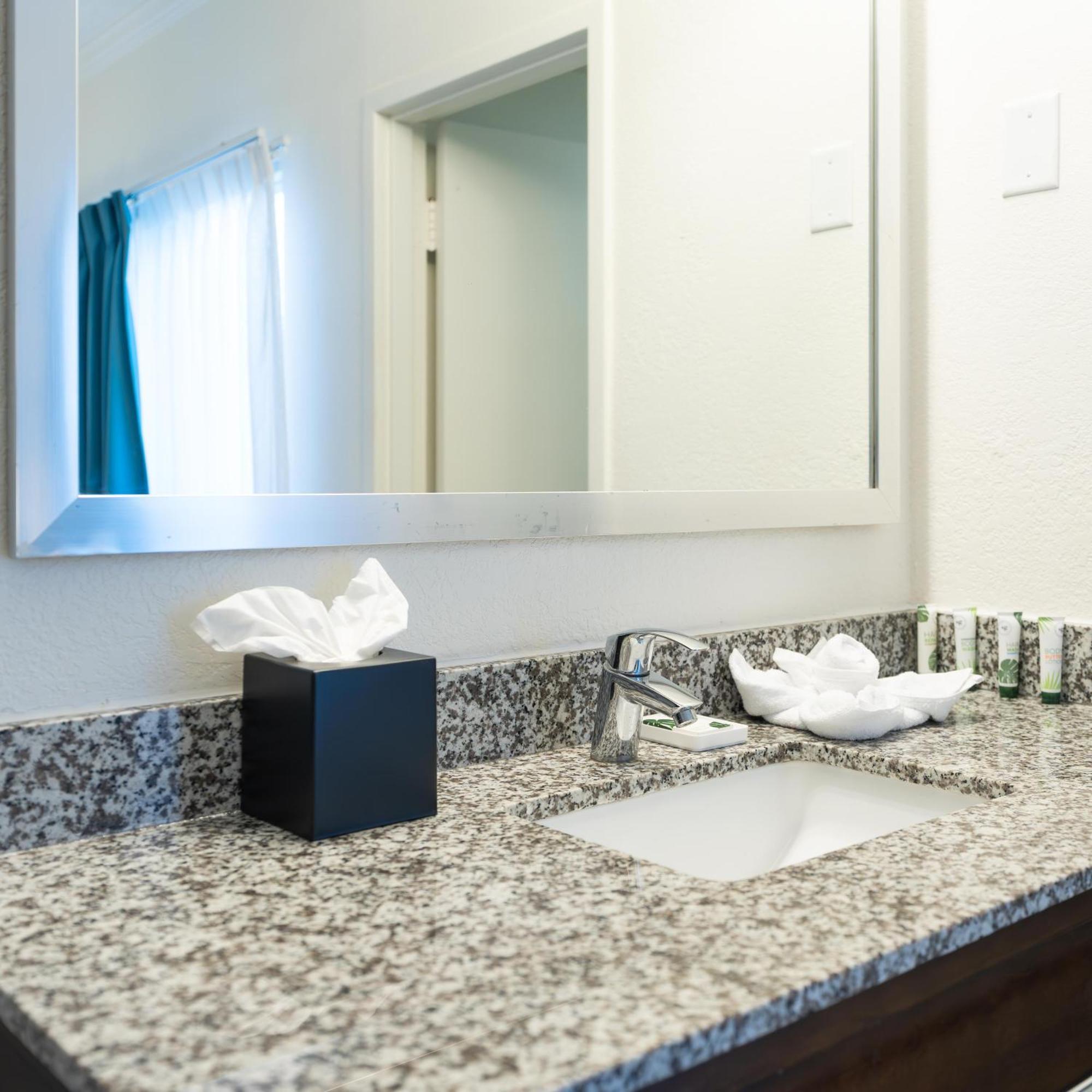 Oasis Bay Suites, Tampa, Busch Gardens, Usf Extérieur photo