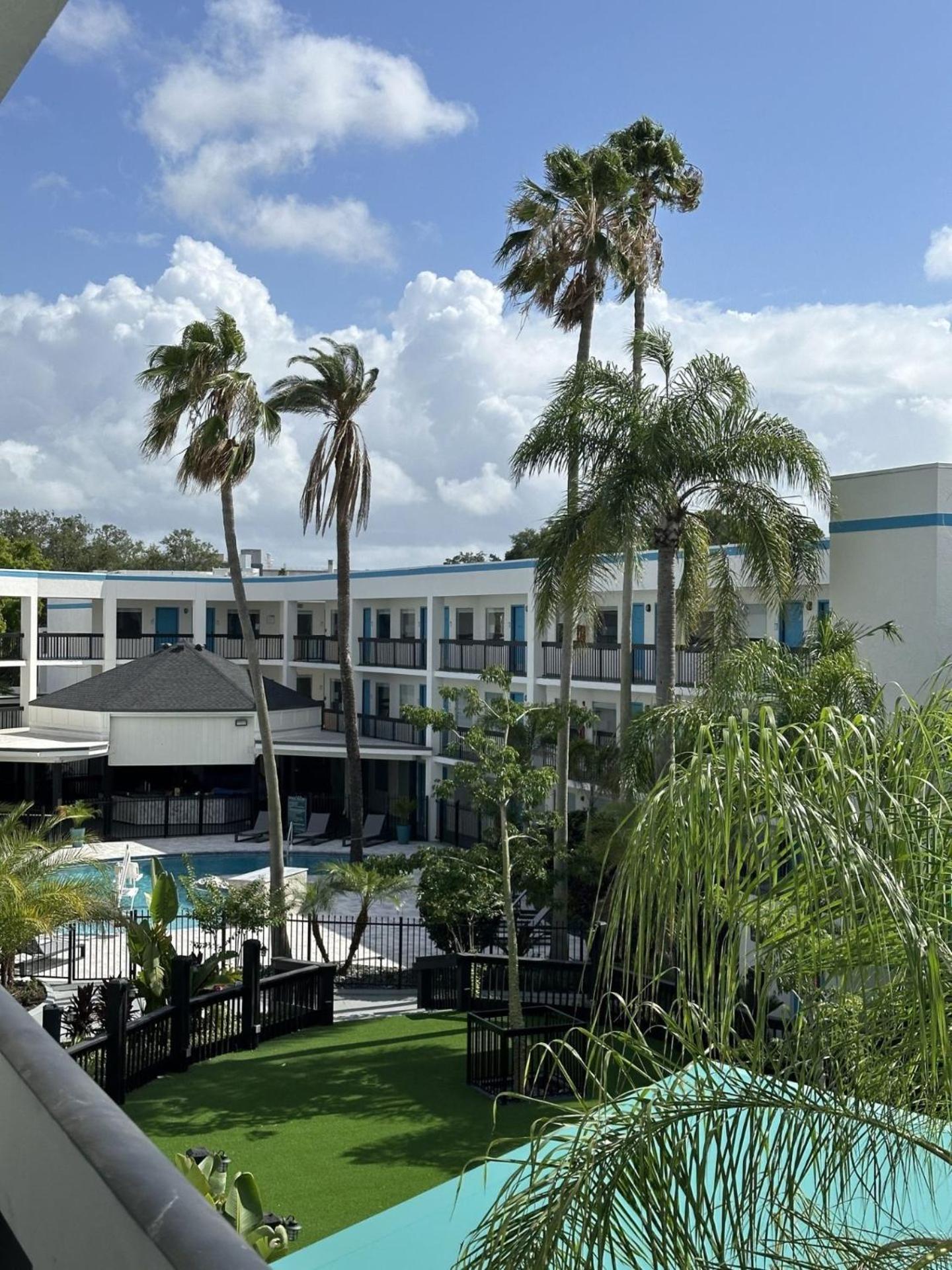 Oasis Bay Suites, Tampa, Busch Gardens, Usf Extérieur photo